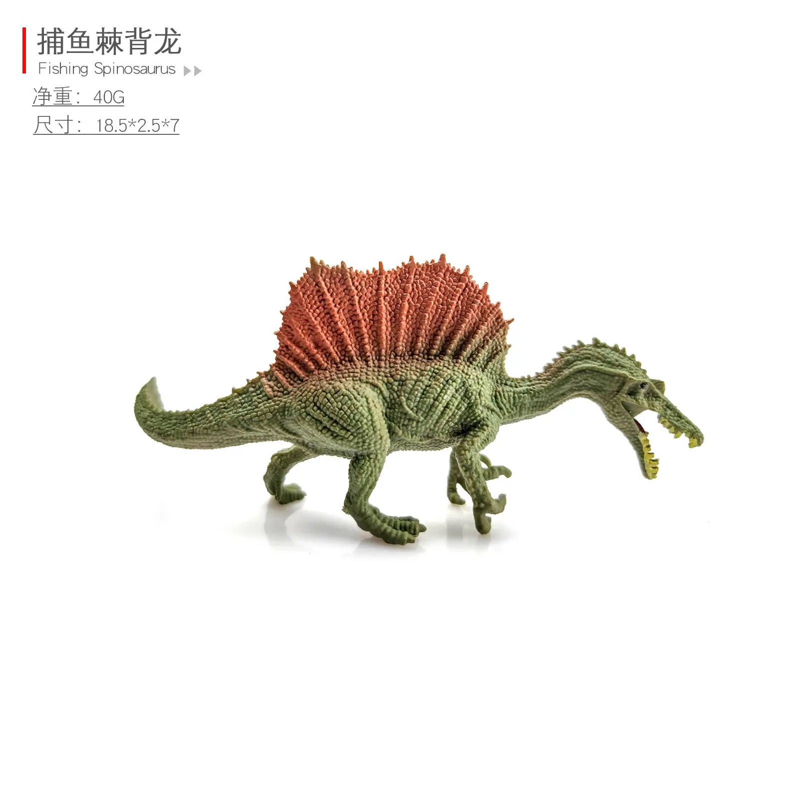 捕鱼棘背龙