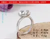 XD 8-10mm Anillo Portador de Perlas Bauhinia de Plata 925 Portador de Anillos de Perlas DIY Portador de Anillos en Vivo Accesorios Venta al por Mayor