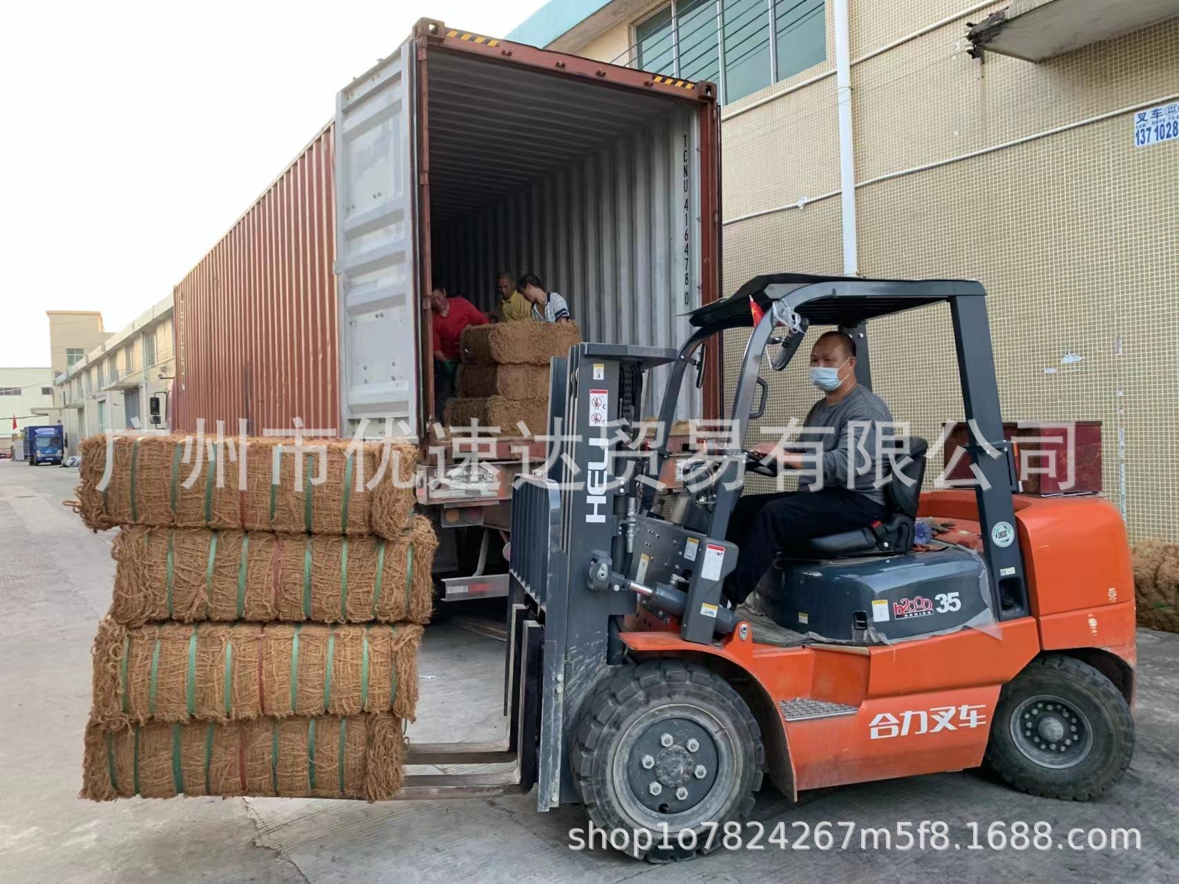 椰网b.jpg