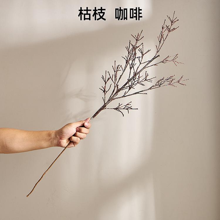 枯枝  咖啡