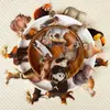 Nuevas 56 Pegatinas Transparentes de Animales del Bosque Realistas para Mascotas Patrón de Alta Definición Pegatinas de Aprendizaje Cognitivo Hechas a Mano para Niños