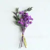 Mini Ramo de Flores Secas Naturales Tarjeta Decoración Material DIY Accesorios para Caja de Regalo Recuerdo Ramillete Amazon Transfronterizo