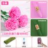 Ramo del Día de la Madre clavel papel crepé flor hecha a mano bolsa de material flor de papel crepé completa para hacer tú mismo flor tridimensional