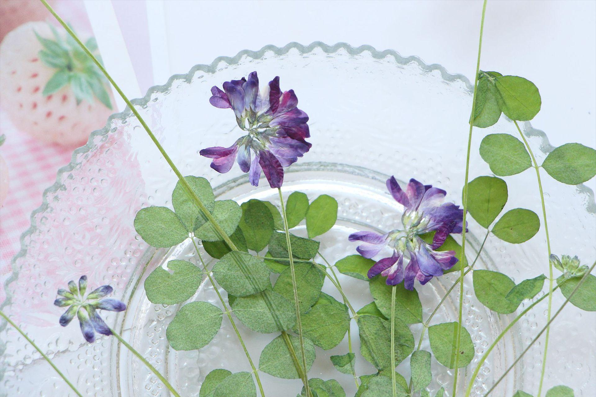 IMG_0011.png