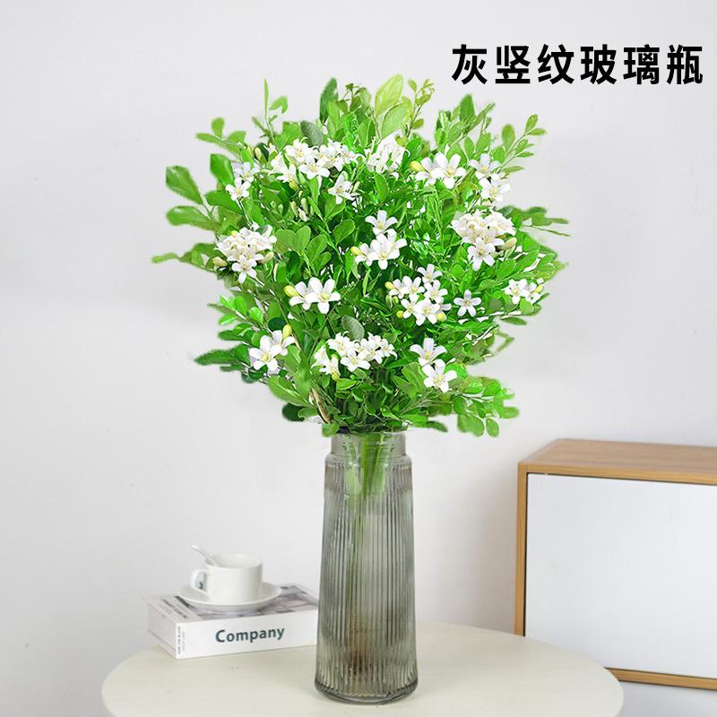 帮手SKU图-九里香水培盆栽苗办公室内桌面七里香绿植物千里眼