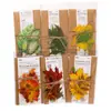 Paquete de Pegatinas para Mascotas Poesía de Azúcar Serie Salvaje en la Brisa de Otoño Hojas Material para DIY Pegatinas Decorativas 10 Hojas en 6 Diseños