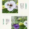 Arreglos Florales de Pensamientos Artificiales Transfronterizos para Decoración del Hogar, Decoración de Bodas, Flores Artificiales para Exteriores, Flores Artificiales al por Mayor