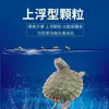 Alimento para tortuga de oro pulgada Hierba alimenticia para tortuga de oro pulgada Alimento para tortuga de tierra Alimento general para tortuga brasileña Alimento para tortuga suplemento de calcio camarones secos alimento para tortuga