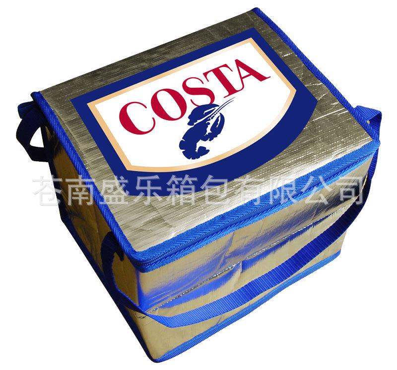 cooler bag 011