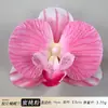 Cabeza de Flor de Orquídea Phalaenopsis Artificial Accesorio para el Cabello Hanfu Material Floral Hecho a Mano Accesorio de Flor Artificial Flor Eterna Flor de Seda