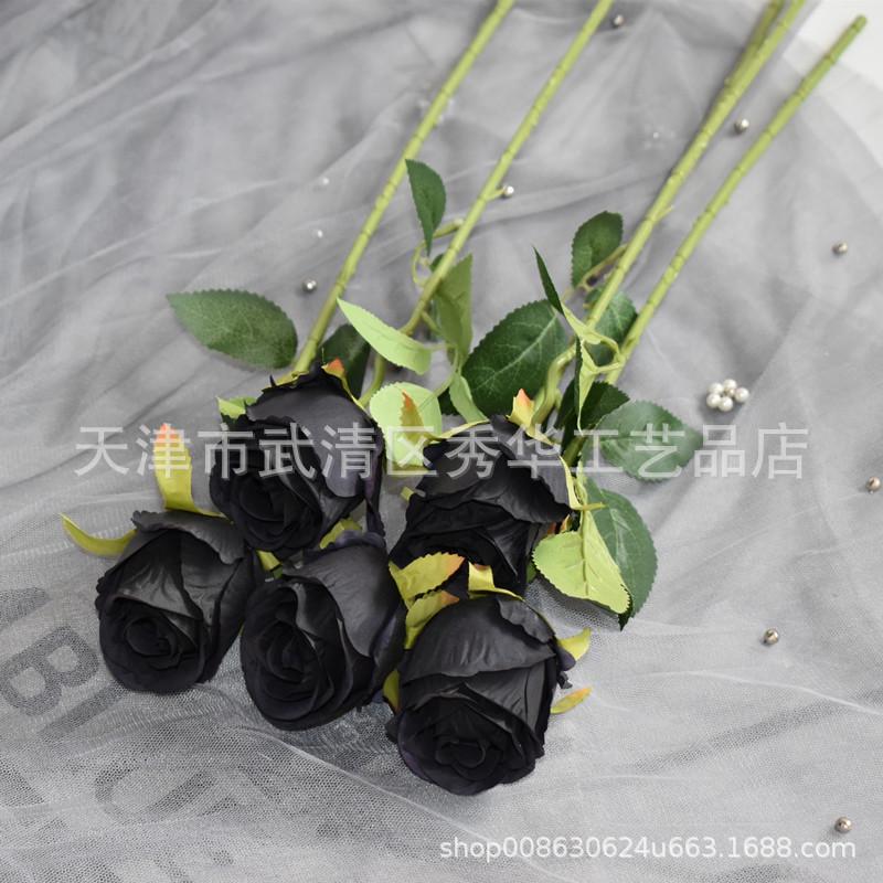 单支玫瑰主黑色