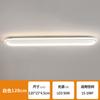 Luz de Techo de Tira LED Nórdica Simple Luz de Pasillo Vestidor Luz de Zhongshan Iluminación de Entrada Atenuación Continua