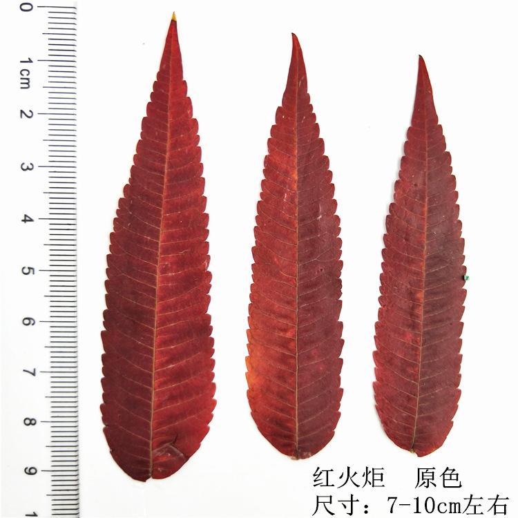 IMG20190623134715.jpg