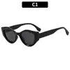 Óculos de Sol Retrô Europeus e Americanos Estilo de Rua Cat-Eye Personalidade Hip-Hop Moda Y2K Garota Popular Proteção Solar ao Ar Livre Óculos de Sol Transfronteiriços