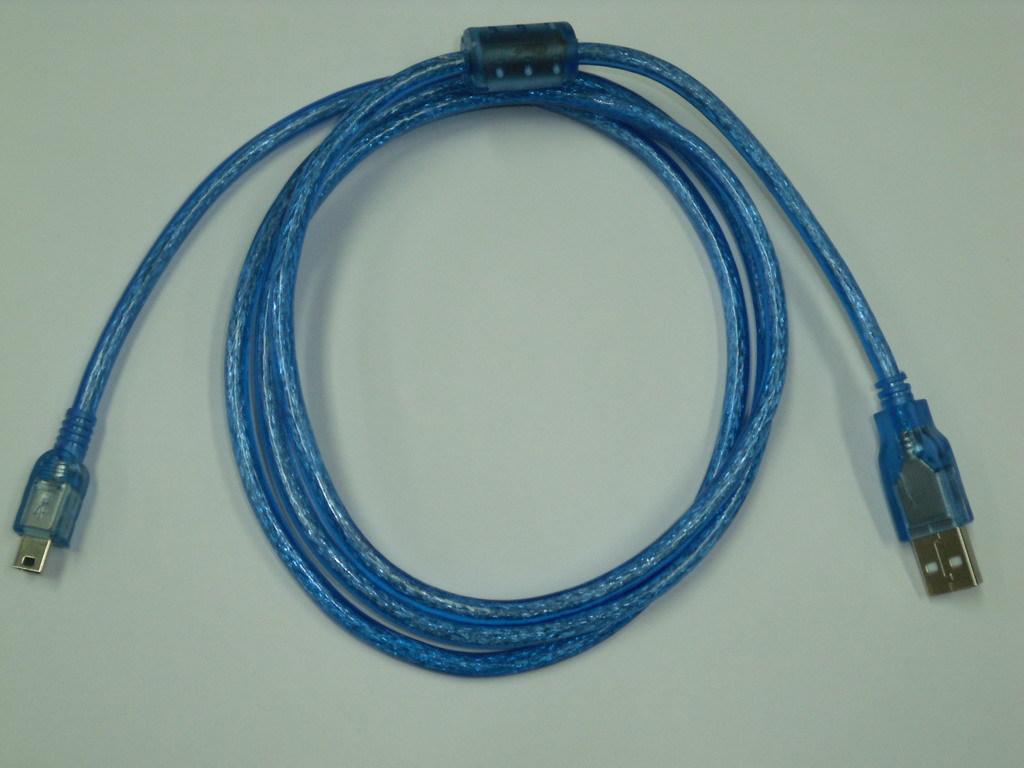 DSCI0376