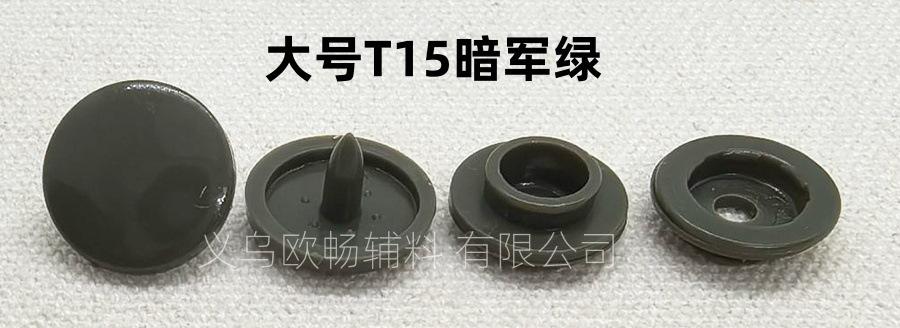 欧水印2