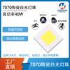 Venta al por Mayor de Fábrica 7070 Alto Brillo Luz Blanca Cuentas de Lámpara LED Linterna de Luz Fuerte Cuentas de Lámpara 7070 Luz Blanca Plana Cuentas de Lámpara LED