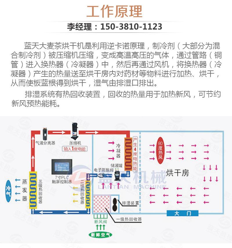 板蓝根烘干机_06.jpg