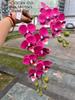 Nueva impresión 3D Phalaenopsis fabricantes de comercio exterior 2 tenedor sienten Phalaenopsis púrpura boda hogar flores falsas al por mayor