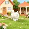 Estatueta de Resina de Cachorro Desenho Animado Cachorro Fofo Micro Paisagem Criativo Carro Decoração de Mesa Caixa Surpresa Jardinagem Transfronteiriça Mini