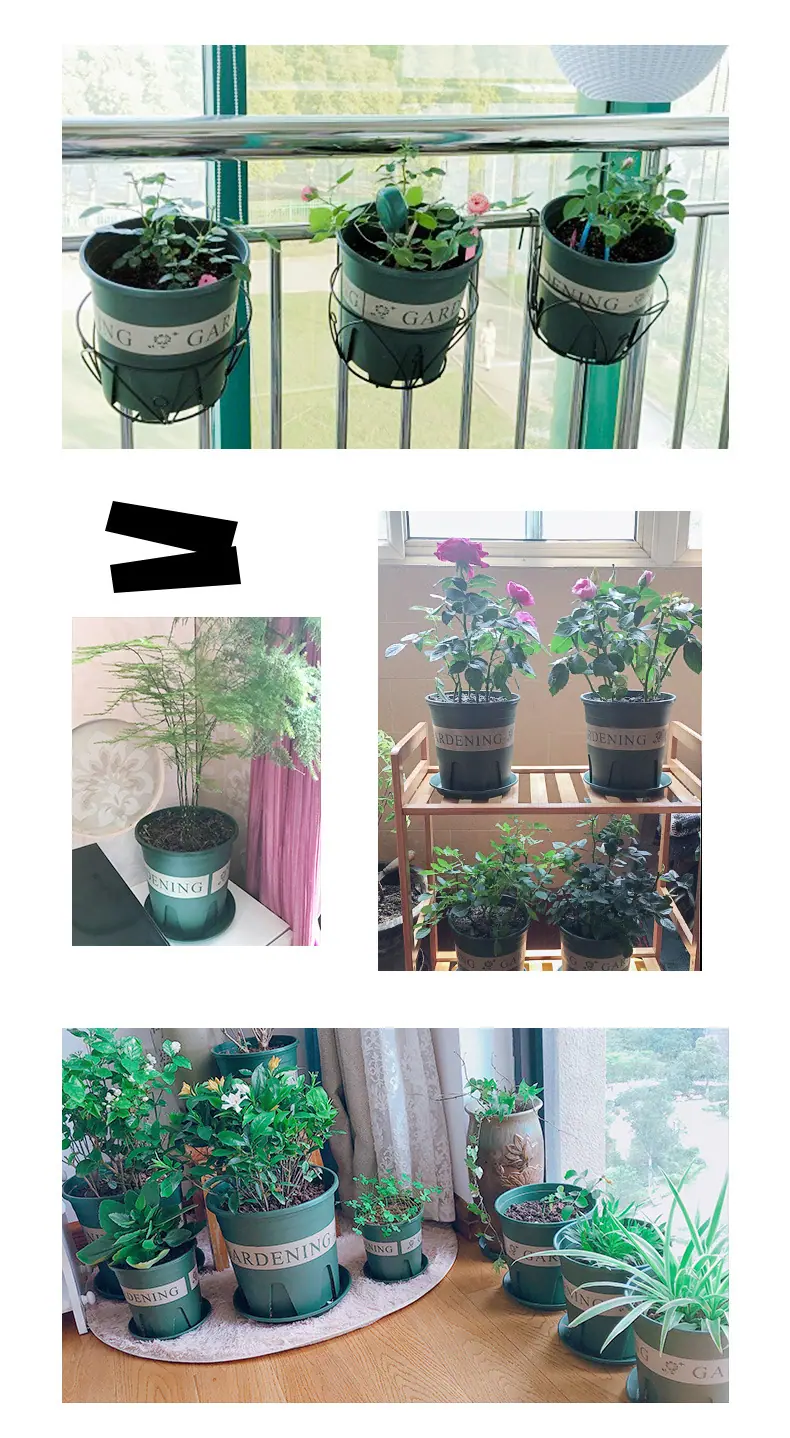 丽朵印花盆_14