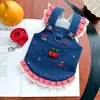 Faldas para Perros, Ropa para Mascotas de Primavera y Verano, Petos de Mezclilla para Pareja, Minifaldas Estilo Princesa, Ropa para Gatos y Perros Pequeños