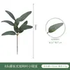 Eucalipto Artificial Folha de Dinheiro com Fruto, Haste Única Pequena, Folhas de Eucalipto Longas para Exportação, Ornamento de Planta Verde Estilo Ins Nórdico, Flor Artificial