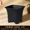 Vaso de flor de areia roxa imitação vaso para suculenta cacto bola Tianzhu do sul vaso especial para bonsai alto valor de cor vaso de resina atacado