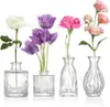 Juego de Jarrones Pequeños Decorativos de Vidrio Vintage Transparente Estilo Ins, Jarrón de Flores y Botella de Aromaterapia, El Más Vendido Transfronterizo con un Toque de Lujo