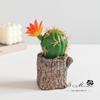 Flores Falsas, Plantas Tropicais, Cactos em Vasos, Plantas Artificiais, Fornecimento Direto dos Fabricantes, Dropshipping Criativo Transfronteiriço