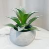 Decoración interior del hogar simulación suculenta pequeña planta en maceta diseño de escritorio planta adornos en maceta suculenta falsa planta verde mayoreo