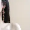 Jardim após a Chuva~Brincos Delicados Estilo Coreano com Longos Tassels Rosas, Estilo Fada, para Mulheres