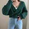 Estilo Coreano 2026 Nuevo Otoño e Invierno Cable Grueso Cuello en V Botón Único Cardigan Suéter Retro Chic Casual