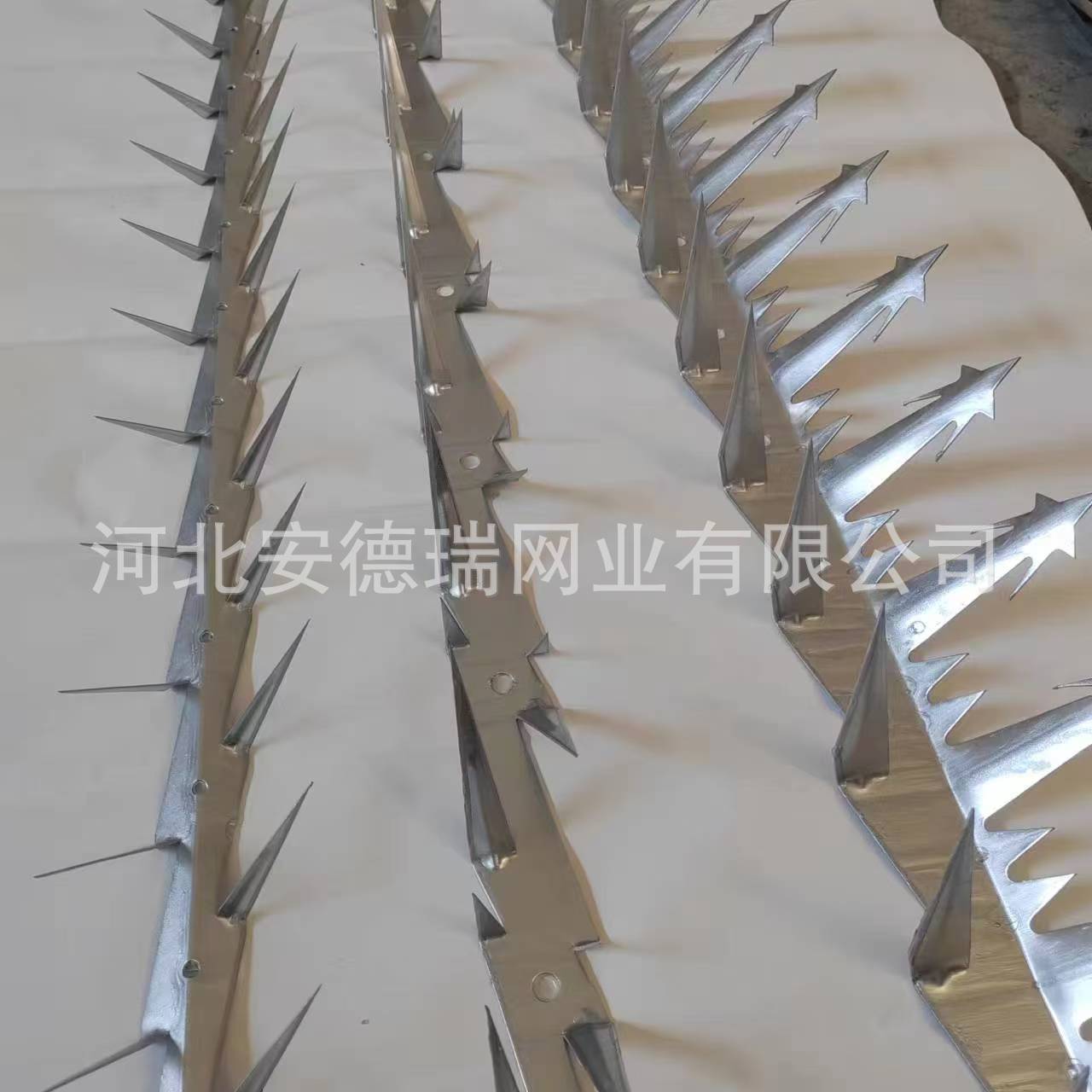 微信图片_20240829123111.jpg
