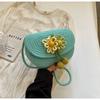 Bolsa Hanfu de Celebridade da Internet Feminina 2024 Primavera e Verão Novo Estilo Chinês Estilo Fresco Bolsa de Ombro Transversal Saia de Macarrão de Cavalo