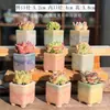 Bacia cerâmica carnuda planta verde mini vaso de polegar tipo controle de rachadura de gelo de forno mini vaso multi-suculenta fabricantes atacado