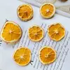 Pacote de materiais DIY feito à mão, materiais de flores mistas, plantas naturais, flores secas, estilo floresta de jardim de infância, criação ambiental, decoração, pinhas de Natal