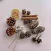 Flores Secas de Natal Frutas Secas Cascas de Frutas Pinhas Decorações Jardim de Infância Artesanato DIY Matérias-Primas Estilo Floresta Aromaterapia