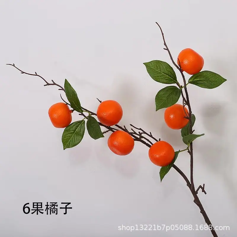 6果橘子.jpg