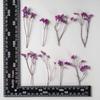 Hierba de cristal hecha a mano diy flor flor en relieve bolsa de material con ramas y hojas pegamento de tiempo material de gema flor seca