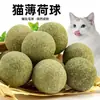 Pelota de juguete para autoentretenimiento de gatos con hierba gatera y fruto de agalla 10 cm, refresca el aliento, pelota de juguete para gatos, juguete divertido para gatos