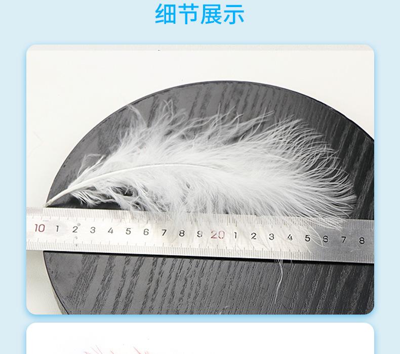 新的详情页1_10