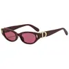 Gafas de Sol Pequeñas con Montura Transparente Estilo Ojo de Gato Estilo Callejero Europeo y Americano Gafas Unisex Versátiles de Moda Tendencia 206 D110