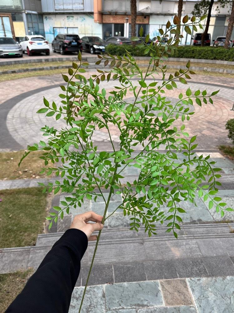 微信图片_20240904193433.jpg