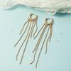 Pendientes con borlas de estilo japonés-coreano, largos, con temperamento, redondos, para adelgazar la cara, con forma de hueso de serpiente, para mujeres famosas de Internet.