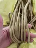 Corda de Poliéster com Núcleo Branco, Corda de Poliéster, Corda para Borda de Barraca, Corda para Móveis de Exterior, Corda de Nylon, Corda Trançada Colorida, Corda de Nylon