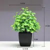Punto Nuevo Bonsái Plantas de Decoración para el Hogar Pequeños Adornos Flores Artificiales Plantas Verdes Plantas en Maceta Flores Artificiales Fábrica Venta al Por Mayor