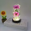 Nova Luminária de Noite Girassol Abajur de Acrílico Ornamento Presente de Data Girassol Flor Imortal Cobertura de Vidro Atacado