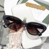 Nuevas Gafas de Sol Ojo de Gato de Montura Pequeña Europeas y Americanas Transfronterizas Personalizadas Gafas de Sol de Moda para Mujer 5134
