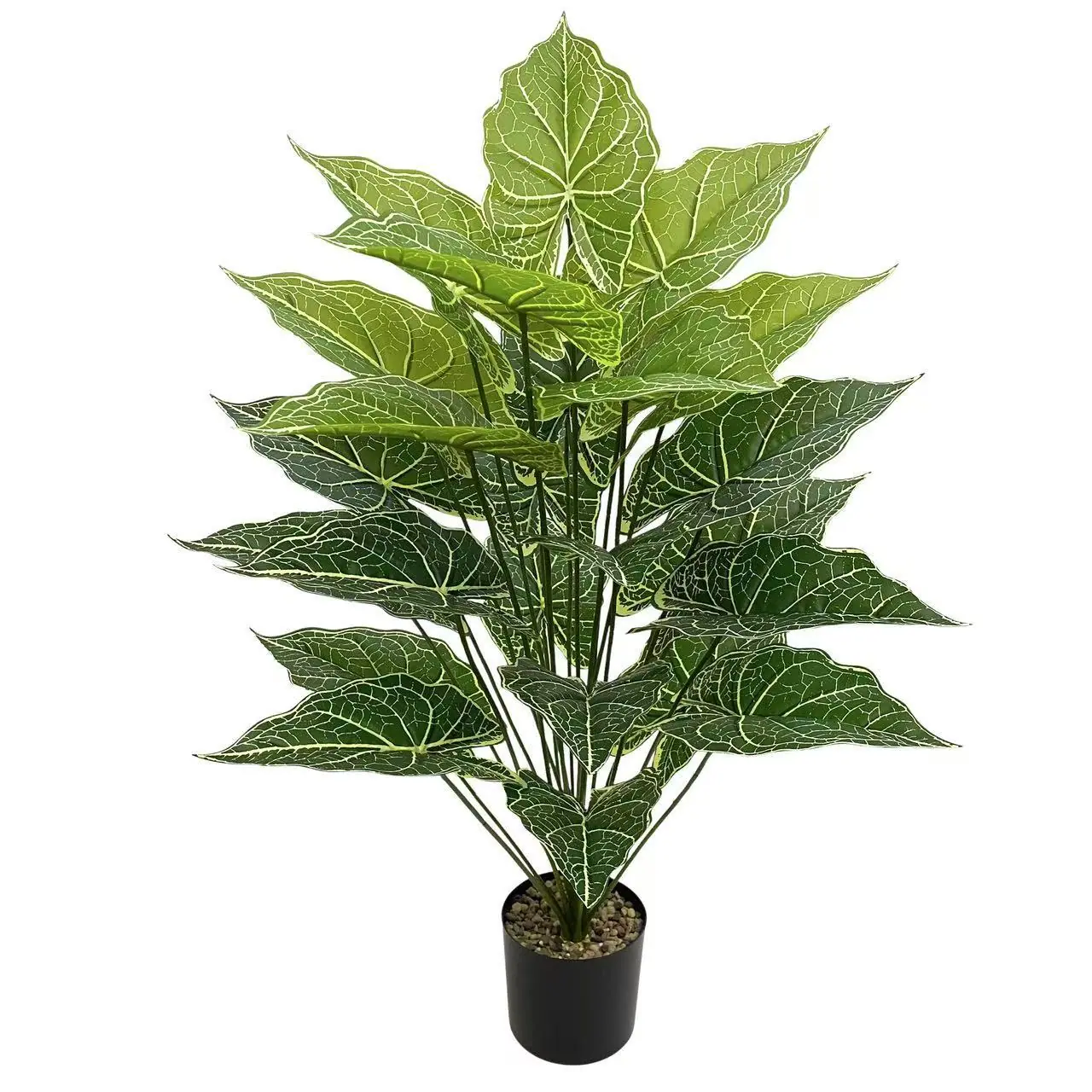 微信图片_20251007112321